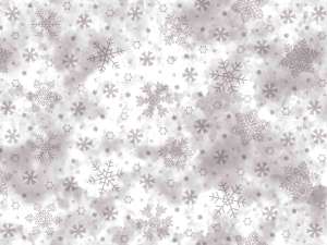 NSA26 GIVRE argent