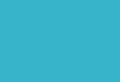 Image #0