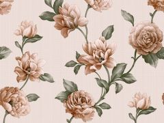ONJ6 ROSE raie
