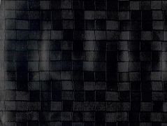SAJ31 KASPA noir