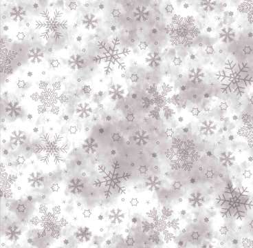 NAD8 GIVRE argent