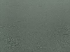 SIMILI10 PISA Petrol