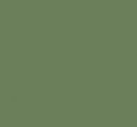 ADA7 LAQUE vert mousse