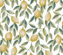 ADU3 CITRUS limonum