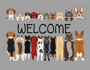 TPPAI-04 WELCOME Animaux