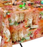 ONA2 CHATONS roux